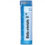 Boiron Blatta Orientalis 9CH